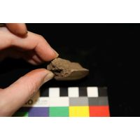 Component 4 (view 45)