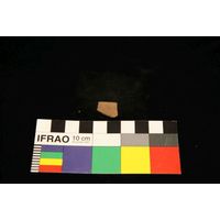 Component 4 (view 47)