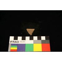 Component 4 (view 48)