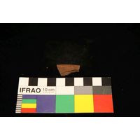 Component 4 (view 50)