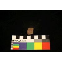 Component 4 (view 51)