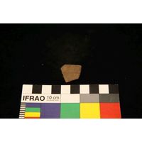 Component 4 (view 53)