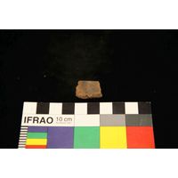 Component 4 (view 54)