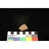 Component 4 (view 55)