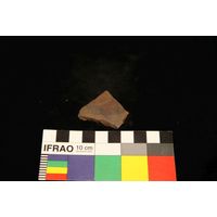 Component 4 (view 56)