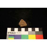 Component 4 (view 57)