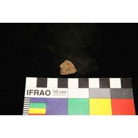 Component 4 (view 58)