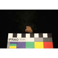 Component 4 (view 59)