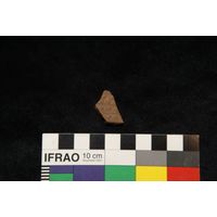 Component 4 (view 61)