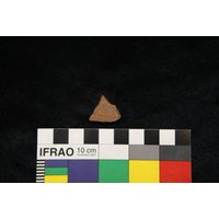 Component 4 (view 62)