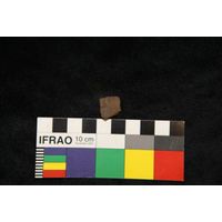 Component 4 (view 63)