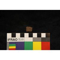 Component 4 (view 64)