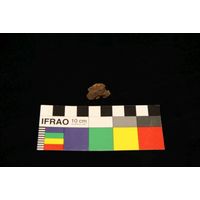 Component 5 (view 3)