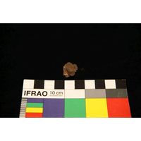 Component 5 (view 4)