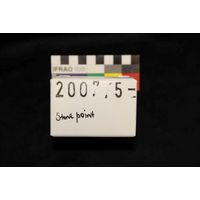 Component 5 (view 6)