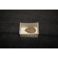 Component 5 (view 7)