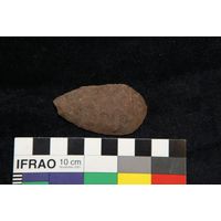 Component 5 (view 9)