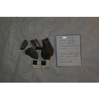 Component 1 (view 3)