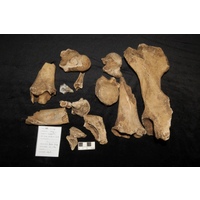 Component 1 (view 2)