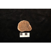 Component 2 (view 2)