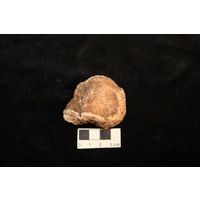 Component 2 (view 3)