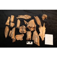 Component 2 (view 4)