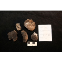 Component 2 (view 5)