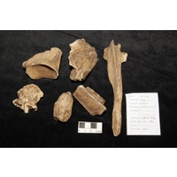 Component  3 (view 2)