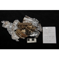 Component 3 (view 4)