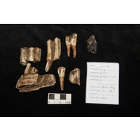 Component 3 (view 5)