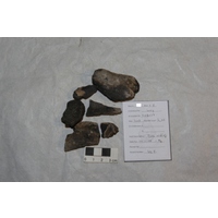 Component 1 (view 3)