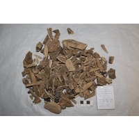 Component 2 (view 2)