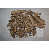 Component 1 (view 2)