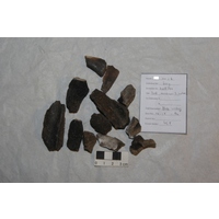 Component 1 (view 3)