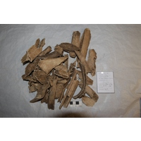 Component 2 (view 2)