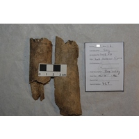 Component 2 (view 3)