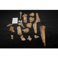 Component 1 (view 2)