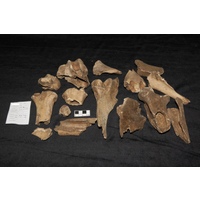 Component 2 (view 2)