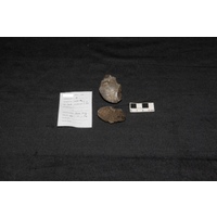 Component 2 (view 3)