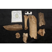 Component 3 (view 2)