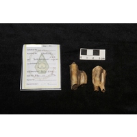 Component 3 (view 3)