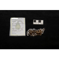 Component 3 (view 4)