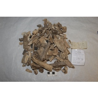 Component 1 (view 2)