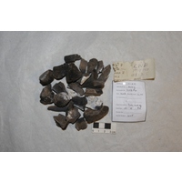 Component 1 (view 3)