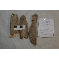 Component 1 (view 4)