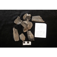 Component 1 (view 3)