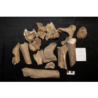 Component 2 (view 2)