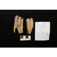 Component 2 (view 3)