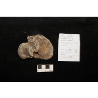 Component 2 (view 4)