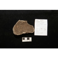 Component 2 (view 5)